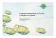 Regular Expressions in SAS Enterprise Guide