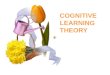 Cognitive learning theory