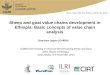 Sheep and goat value chains development in Ethiopia: Basic concepts of value chain analysis