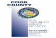 2013 Cook County Preliminary Budget