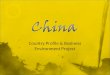China: Business Environment Project