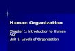 Human organization