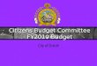 Budget Committee Presentation March 19