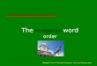 The hungarian word order