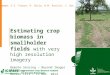 Estimating crop biomass in smallholder fields with very high resolution imagery