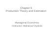 Managerial Economics (Chapter 6)