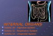 Activity 10, 11 & 13_ Prelab Internal Organs