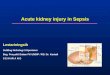 Acute Kidney Injury (Aki) Dr Lestariningsih