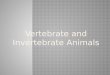 Vertebrates and invertebrates - by JASPINDER KAUR