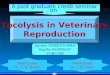 TOCOLYSIS IN VETERINARY REPRODUCTION-By:-Dr. DHIREN BHOI