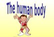 MY BODY (Science 1º Primaria)