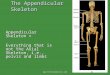 Appendicular&Axial Skeleton
