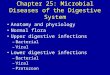 Chapter 25: Microbial Diseases of the Digestive System