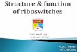 Structure and function of riboswitches