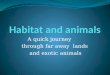 Habitat And Animals