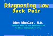 Low Back Pain: ppt Overview (2)