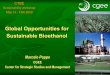 Global Opportunities for Sustainable Bioethanol