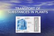 Transport of Substances in Plants
