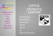 Little peanuts center presentation