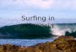 Surfing in Indonesia