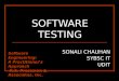 Software Testing - R.S. Pressman & Associates, Inc