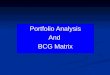 Portfolio Analysis BCG