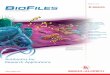 Antibiotics for Research Applications - BioFiles Issue 1.4