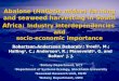 Abalone (Haliotis midae) farming and seaweed harvesting in South Africa: Industry interdependencies and socio-economic importance