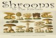 Shrooms in the Kitchen
