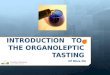 INTRODUCTION TO THE ORGANOLEPTIC TASTING Of Olive Oil