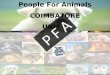People for Animals - NGO- COMMUNICATION STRATEGY