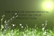 Role of Enviromental Factors on Crop Production