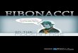 Bobokus Com Fibonacci eBook