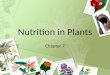 Pure Biology Chapter 7 Nutrition in Plants