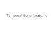 Temporal Bone Anatomy