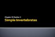 Simple Invertebrates Ch 15.1 7th