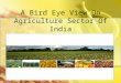 A Bird Eye View on Agriculture Sector of India