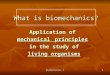 Introduction to Bio Mechanics Slide Show