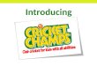 Cricket Champs - Presentation for Junior Cricket Clubs