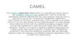 Camel Application Part-By Abhinav Kumar & VAS
