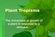 Tropism 2013 - 7th grade