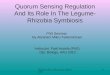 Quorum Sensing Regulation and Its Role In