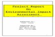 Environmental Impact Assessment- Report