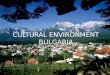 Cultural Environment