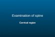 Examination of Cervical Spine
