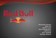 Red Bull Brand Exploratory - MKTG4082