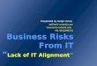 Business RISKS From IT