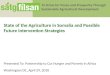 State of the Agriculture in Somalia and Possible Future Intervention Strategies