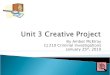 CJ210 Amber McElroy Unit 3 Creative Project