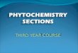 Section 1 Phytochemistry